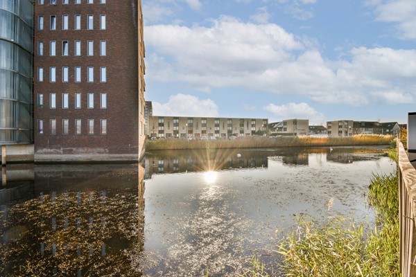 Olijfhout 41 - 13.jpg